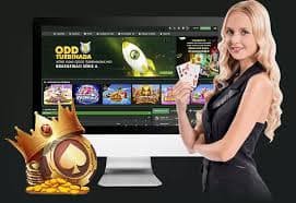Phòng chơi Bingo trực tuyến với giao diện tiếng Việt trên hacksaw